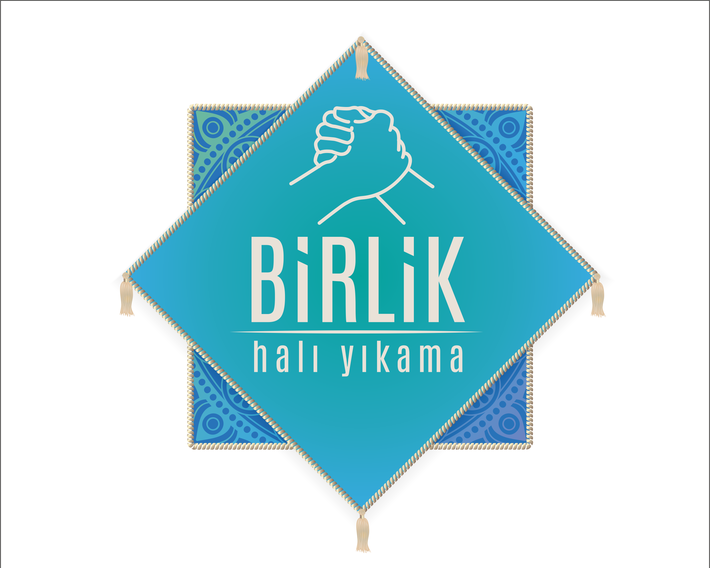 BİRLİK HALI YIKAMA logo SADE